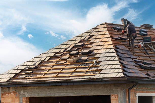 Best Roof Maintenance and Cleaning  in Windsor, VA