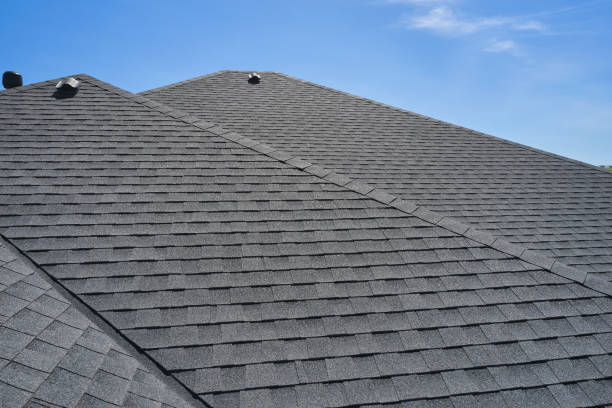 Best Roof Ventilation Installation  in Windsor, VA